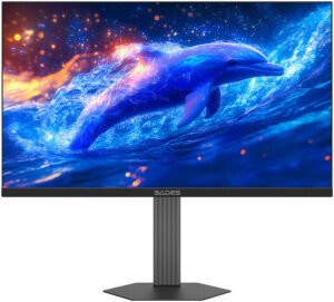 Sades BN-Dolphin Gaming Monitor, 27" IPS Display, QHD 2K Resolution, 200Hz Refresh Rate, 0.5ms (MPRT) Response Time, Adaptive Sync Technology, HDR Support, Accent Lighting, Black