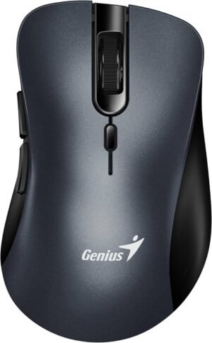 Genius Mouse Ergo 8100S Wireless Ergonomic Silent Mouse (Iron grey)